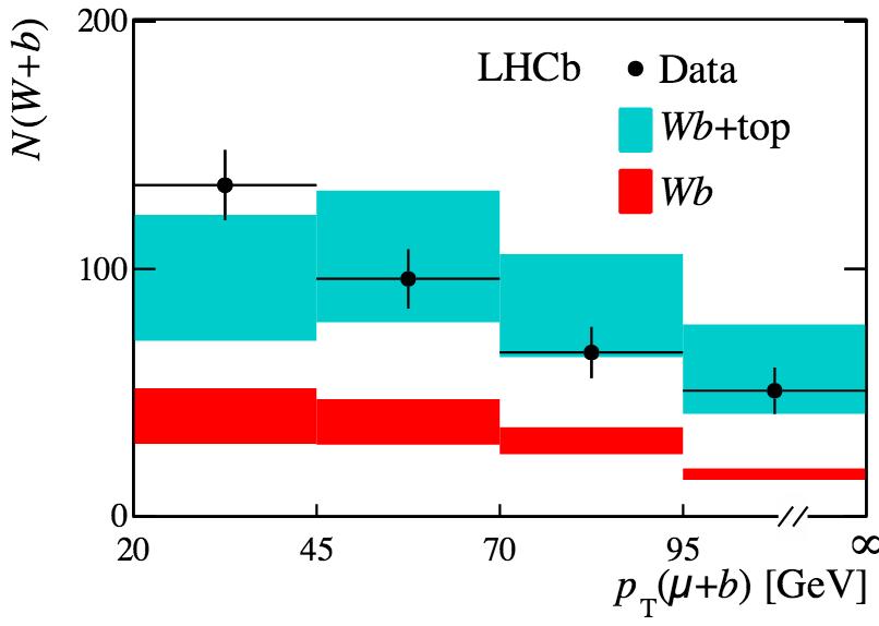 W plus heavy (forward) jets at the LHC Forward muons (p >5 GeV,.0<η<4.