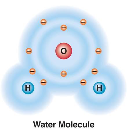 In a water molecule, each hydrogen atom