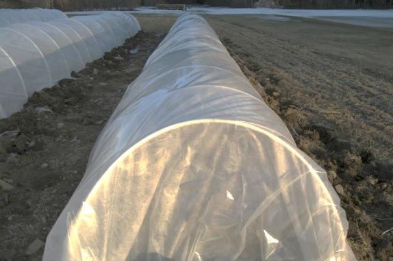 Introduction Low tunnels are temporary, small (4-8 ft tall, 5-1 ft wide) unheated structures with hoops made of PVC or metal conduit, covered with various materials.