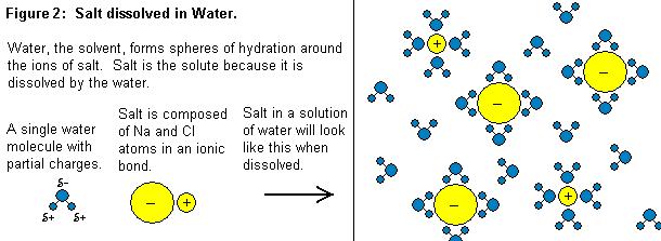 Ionised ions in solution