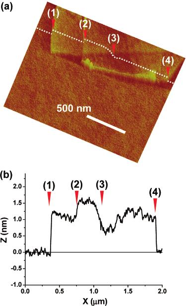 Figure 3. An AFM image of a graphene flake that was cut from a graphite bulk and transfer-printed on a SiO 2 /Si substrate using a 1.8 µm diameter pillar on a stamp.