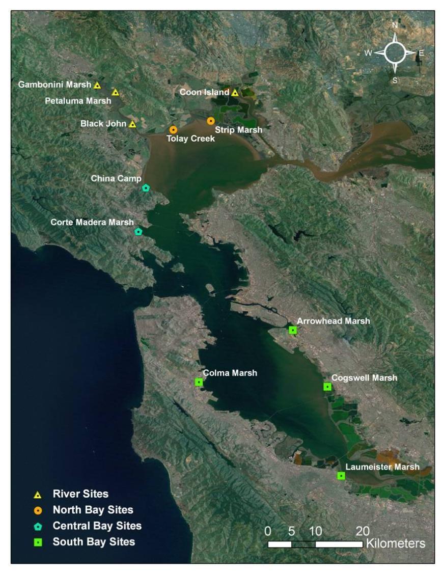 SFB marshes comprise 90% of California's remaining coastal