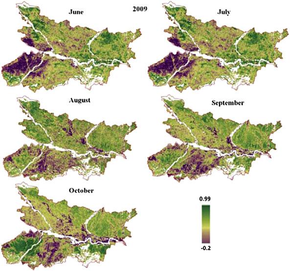 2.4 Rainfall Distribution 29 Fig. 2.5 Normalized difference vegetation index for the year 2009 2.4.1 Vegetation Vigor/Growth Vegetation vigor is one of the important parameters to be considered for monitoring of drought.