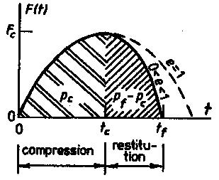 A typical impact history of a ball drop is shown in Figure 2-4 [109], exhibiting a compression phase and a restitution phase.