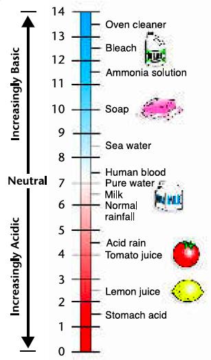 ph Scale ph Scale Scientist developed a scale to determine the concentration of H + ions in a solution. It is called the ph scale and it ranges from 0 to 14.