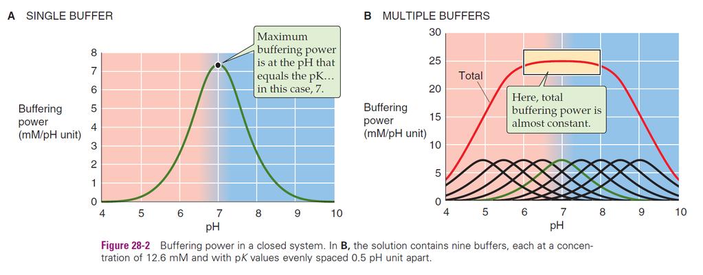 In a closed system, the buffering power of a buffer pair is ᵝ At a given [TB], βclosed has a bell-shaped dependence on ph. βclosed is maximal when [H+] = K (i.e., when ph = pk).