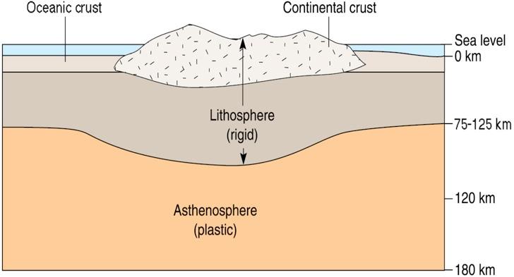 Two types of crust are present in the upper part of the lithosphere: 1.