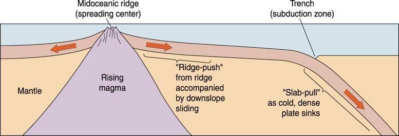 Ridge-Push and Slab-Pull Model Crust is heated and expands over a mid-ocean ridge spreading center.