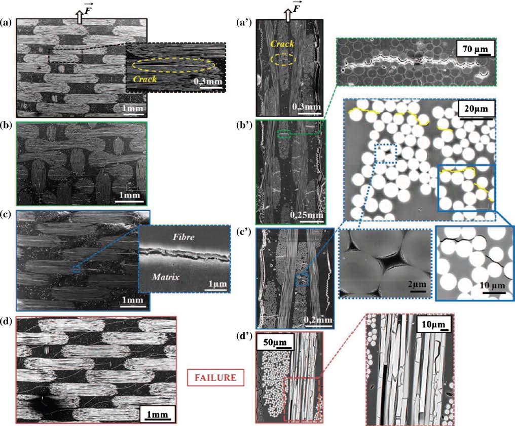Fig. 3 SEM micrographs at different strain levels: in-plane (A D) and through-the-thickness (A D ) observations [7] matrix debonds (magnification of C ).