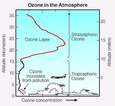 SUSTAINABILITY MATTERS FACT SHEET 7: THE HOLE IN THE OZONE LAYER What is the ozone layer?