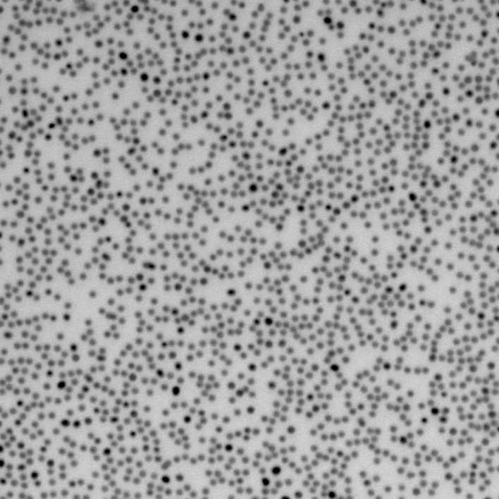OPTICAL PROPERTIES OF SPHERICAL AND ANISOTROPIC GOLD SHELL COLLOIDS 73 Figure 8.