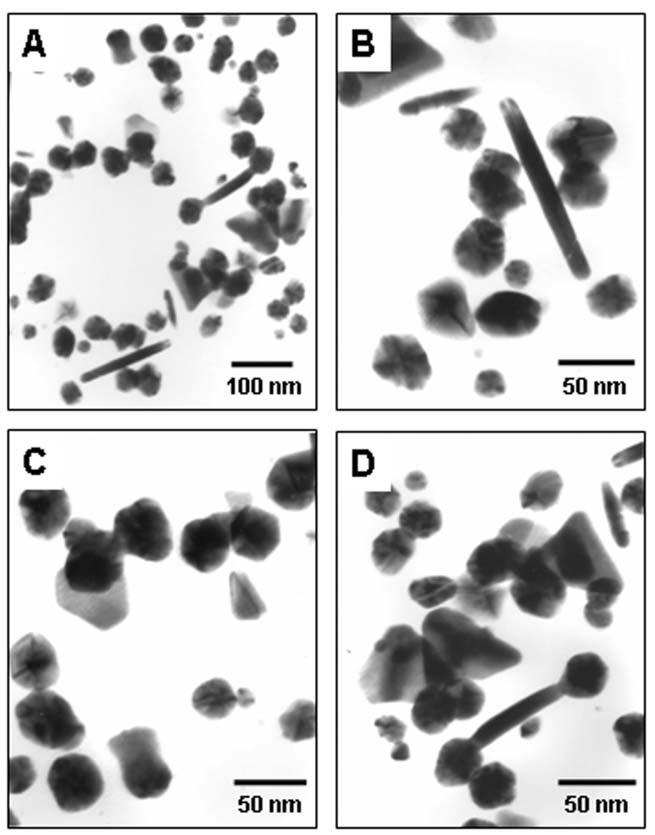 Fig. 4 A D Representative TEM images of gold nanoparticles synthesized using geranium leaf extract showing the different shapes of nanoparticles.