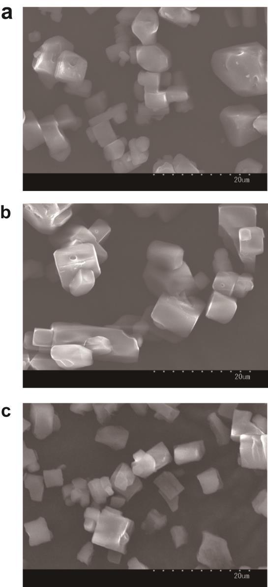 Supplementary Figure 1. SEM images of (a) 1, (b) 1 PSt/PMMA, and (c) polymer blend isolated from 1 PSt/PMMA.