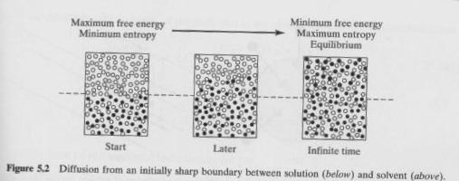 Diffusion from an initially sharp boundary between solution & solvent The random motion of