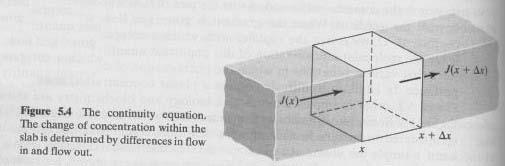Fick s First Law J = - D ( C/ x) A continuity equation It is not enough Describes the concentration as a function of both spatial position & time A thin slab thickness x, the