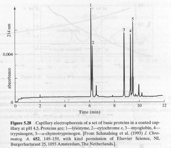 5.4.5 Capillary Electrophoresis Limitation: Electroosmotic flow-because of the negatively charged groups on the walls of the