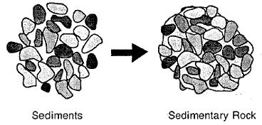 15. What are the three types of sedimentary rocks?