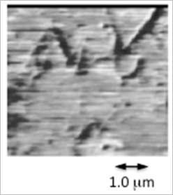 RDF-AFUM image degradation RDF-AFUM micrograph of 50mm-thick