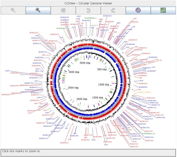 Circular Genome View Access in Genomic Tools menu GC percent deviation (GC window - mean GC) in a 1000bp window Predicted CDSs transcribed in the clockwise direction Predicted CDSs transcribed in the
