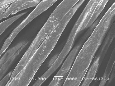 3. Results and Discussion Fig. 1 shows the SEM micrographs of polyester and cotton fabrics loaded with silica nanoparticles distributed uniformly on fabric surface.