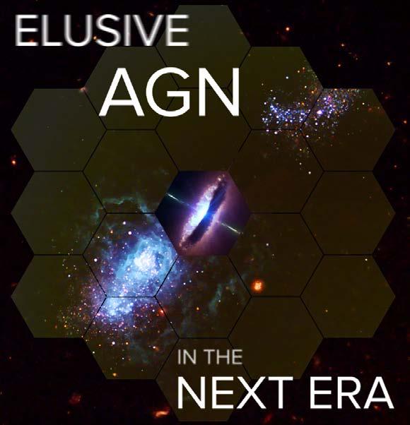 Elusive AGN Conference June 12-15, 2017, George Mason University