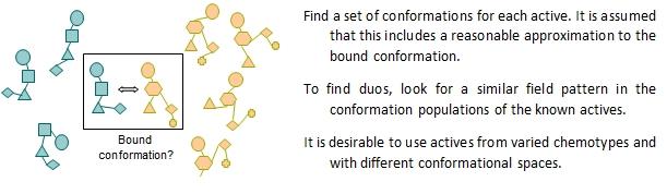 The initial process finding duos Usually, more than one duo is found and sometimes many, especially if the available conformation spaces of the two molecules are not that different.