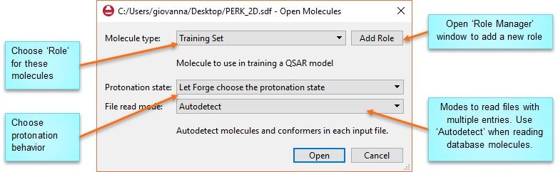 The Molecule type' drop-down list controls which role should be used to contain the new molecules.