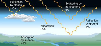 The Fate of Solar Radiation 100 Units Available 25 are absorbed by the atmosphere 19 are reflected by cloud cover into space 6 are reflected by the atmospheric gases and aerosols into space 5 are
