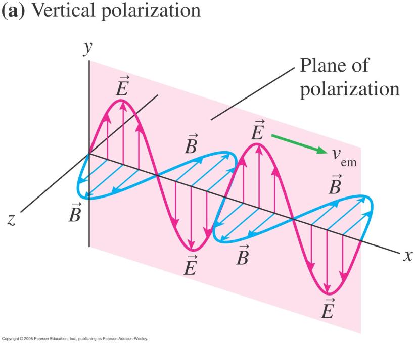 A. Making and detecting polarized electromagnetic waves In a linearl polarized electromagnetic wave, the electric field varies in time and space, but it alwas lies in a plane of polarization.