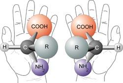 D. Chiral molecules and polarized light We discuss circular polarization because man molecules interact differentl with left-handed and right-handed light due to their molecular chiralit, or