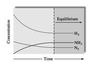 At equilibrium, the concentration of NH 3 remains constant even though some is also forming N 2 and H 2, because some N 2 and H 2 continues to form NH 3.