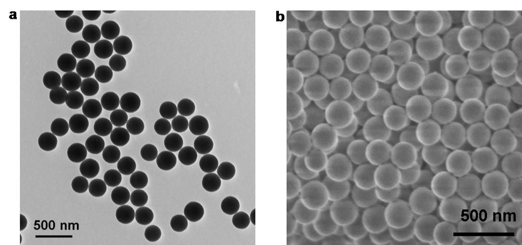 1. Supplementary Figures Supplementary Figure 1 Silica nanoparticles (SiO 2 NPs).