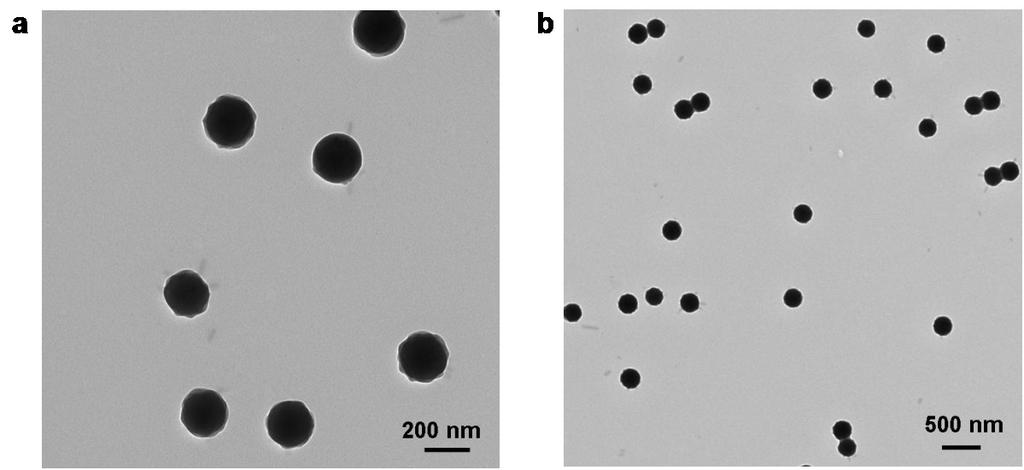 1a, main text) from different positions of the same TEM grid at different magnifications. Supplementary Figure 4 PFS 30 -b-p2vp 300 seed-coated SiO 2 NPs.