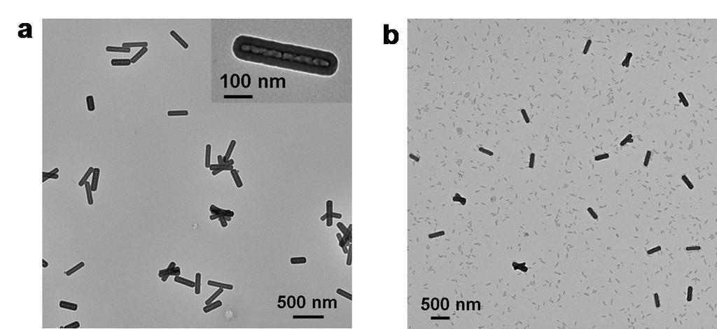 Supplementary Figure 8 Nickel-hydrazine nanorods with PFS 30 -b-p2vp 300 seeds. (a) TEM image of silica-coated nickel-hydrazine nanorods (SiO 2 @Ni-NR) with L n = 375 nm (PDI TEM = 1.