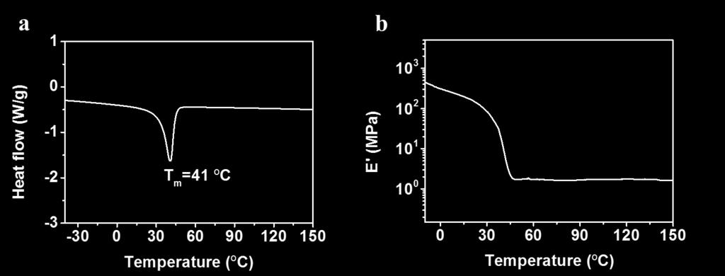 Thermo-mechanical characterization of the thermoset polyurethanes. a, DSC curve. b, DMA curve. Section S4.