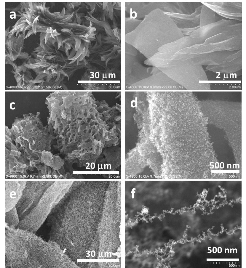 Figure S2. SEM images of GDY nanostructures.
