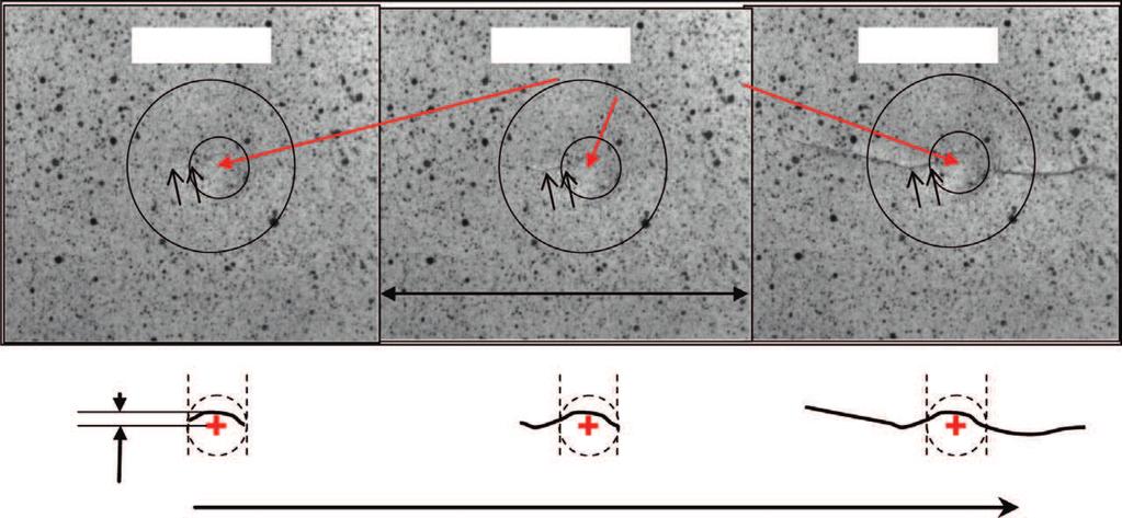 -11 MPa -134 MPa -146 MPa Impact point -.39 -.4 -.39 -.4 75 mm -.39 -.4 3.5 mm Impact point Evolution of crack Fig. 15. Pictures of cracks during CAI: 29.5 J impact QI plate. Indented zone fails.