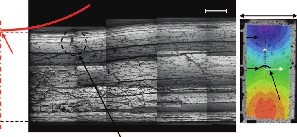 Impactor 1 mm 8 mm Impact point Section Crack 2 Inside laminate crack leading to impact face crack Fig. 2. Inside laminate cracks after static indentation. indentation), resulting in its propagation.