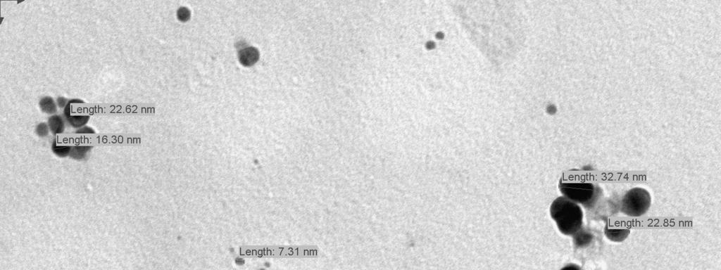 66 N. SAIFUDDIN et al. were found to be aggregates of silver nanoparticles in the size range 5 50 nm.