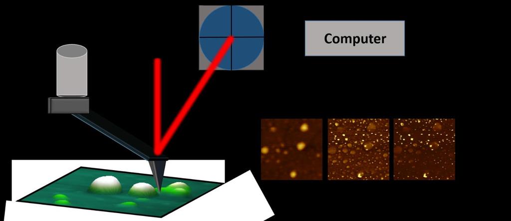 amplitude of the laser to the diode reveals detailed information about changes in surface topography.