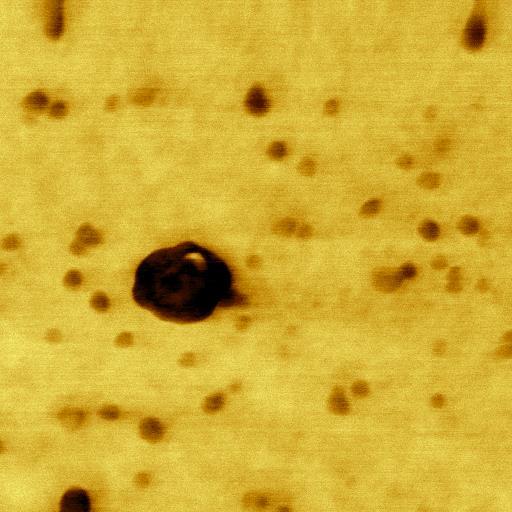 image of polystyrene nanoparticle.