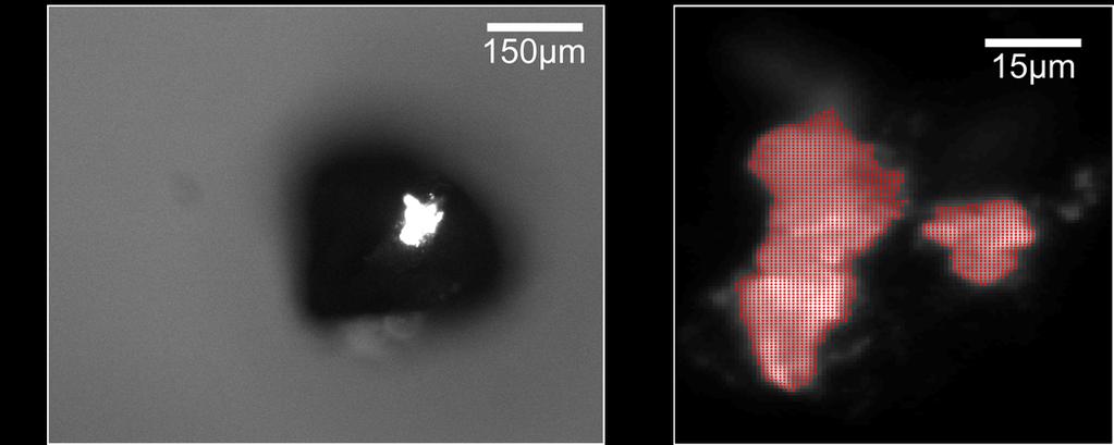 Supplementary Figure 2 Ex-situ fluorescence measurements estimating the tunneling contact area of the Ga droplet on the 1+2 assemblies.