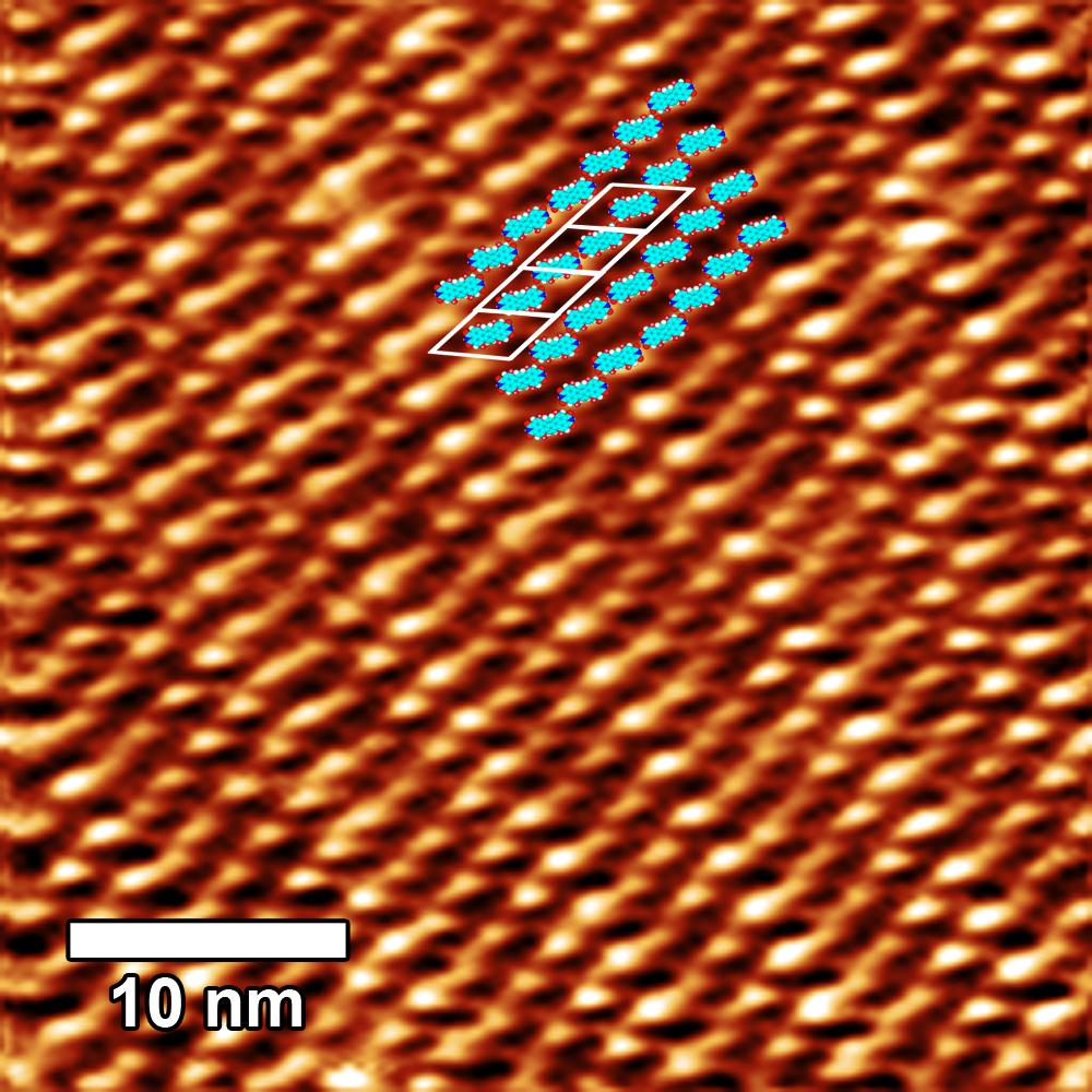 Supplementary Figure 8 STM image of 1b 12 µm monolayer of 1 on HOPG (in TCB solvent with 1-2% DMSO). Unit cell a=2.