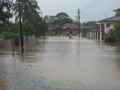(DID) Larut, Matang and Selama District reported that the worst flood in Sg. Tupai catchment was in June 2008.