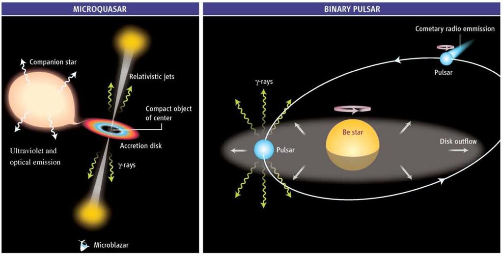 Microquasar or binary pulsar?