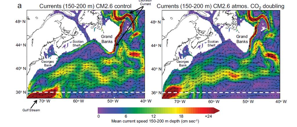 Changes to Labrador Current, Gulf Stream From