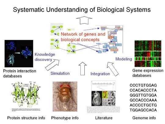 SYSTEMS BIOLOGY tries to understand how all parts are