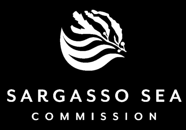 E: dfreestone@sargassoseacommission.org Teresa Mackey Teresa Mackey is a Marine Research Fellow with the Sargasso Sea Commission Secretariat.