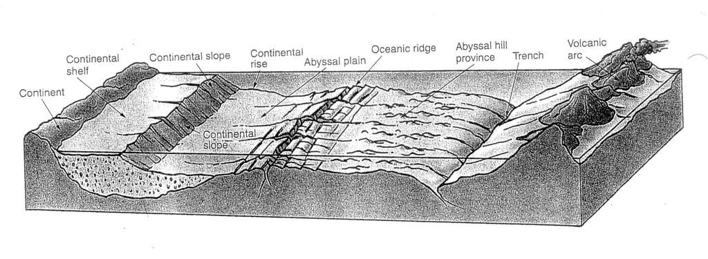 GEOMORPHIC FEATURES OF THE OCEAN FLOOR Now that we have discussed the first order subdivision of the earth's surface into continents and ocean basins, and the theory of isostasy explaining their