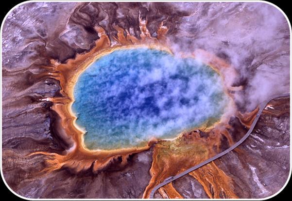 Archaea is prokaryotes; organisms without nucleus but some aspects of
